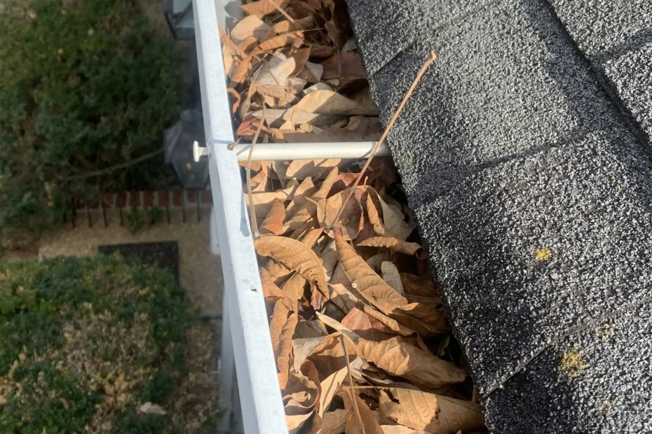 Waynesville Gutter Cleaning