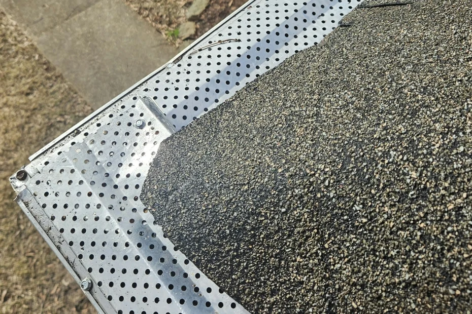 Waynesville Gutter Cleaning
