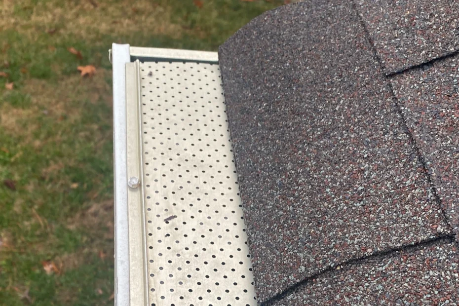 Waynesville Gutter Cleaning